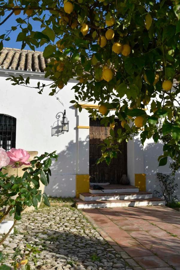Finca Las Rosas De Santa Ana Villamartín Exterior photo